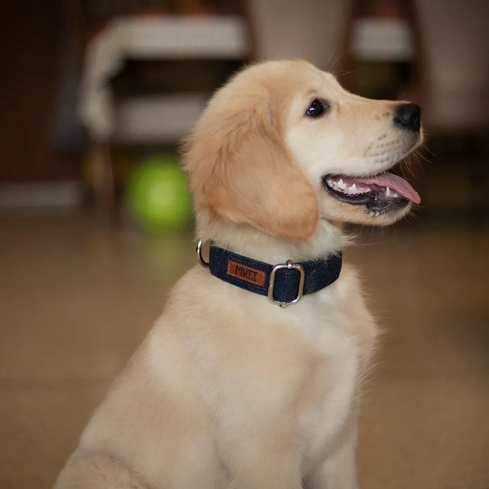 Dark Denim Collar